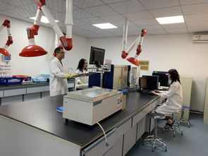 奶牛生產性能測定項目全面展開，助力乳品質量監測體系優化