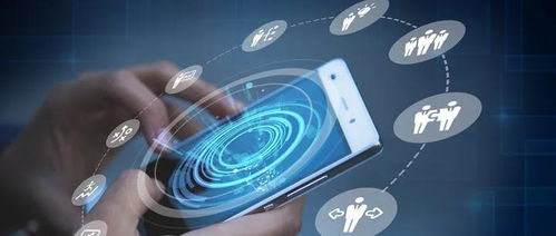 素質教育新賽道 教育部公示37項全國性競賽，教培行業轉型聚焦技術服務